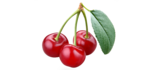 Cherry Fruit PNG HD icon png