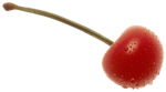 Cherry Fruit Transparent Background icon png
