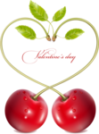 Cherry Vector PNG Pic icon png