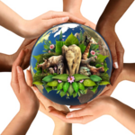 Earth In Hands PNG Picture icon png