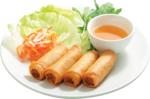 Egg Rolls PNG Clipart icon png
