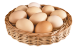 Eggs PNG File icon png
