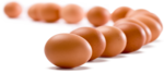 Eggs PNG HD icon png