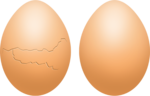 Eggs PNG Photo icon png