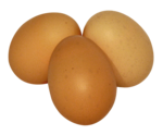 Eggs PNG Transparent Picture icon png