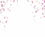 Falling Rose Petals PNG Transparent Image icon png