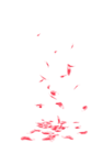 Falling Rose Petals PNG Transparent icon png