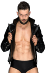 Finn Balor PNG Free Image icon png