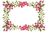 Floral Frame PNG Image icon png