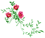 Floral PNG Image icon png