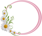 Floral Round Frame PNG File icon png