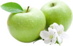 Green Apple PNG Image icon png