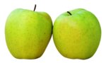 Green Apple PNG Transparent Picture icon png