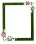 Green Border Frame PNG Clipart icon png