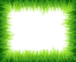 Green Border Frame PNG Photos icon png