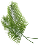 Green Palm Leaves PNG File PNG, SVG Clip art for Web - Download Clip ...
