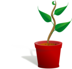 Growing Plant PNG Free Download icon png