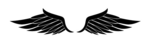 Half Wings PNG Clipart icon png