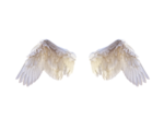 Half Wings PNG Photo icon png