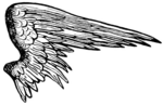 Half Wings PNG Picture icon png