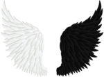 Half Wings PNG Transparent Image icon png