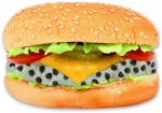 Hamburger Transparent PNG icon png