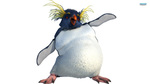 Happy Feet PNG Clipart icon png