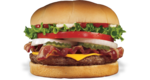 Healthy Burger PNG icon png