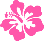Hibiscus PNG Photos icon png
