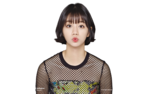 Hyeri PNG Transparent icon png