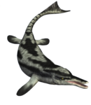 Ichthyosaur PNG Photos icon png