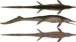 Ichthyosaur Transparent PNG icon png