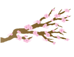 Japanese Flowering Cherry PNG HD icon png