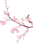 Japanese Flowering Cherry PNG Picture icon png