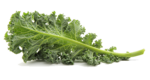Kale PNG Pic icon png