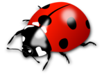 Ladybird PNG Pic icon png