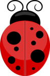 Ladybird Transparent Background icon png