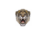 Lioness Roar PNG Photos icon png