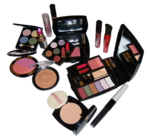 Makeup PNG HD icon png