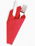 Napkin PNG Pic icon png