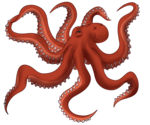 Octopus Toy PNG Image icon png