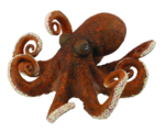 Octopus Toy PNG Photos icon png
