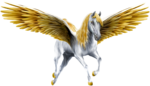 Pegasus PNG File icon png