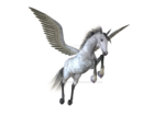 Pegasus PNG Image icon png