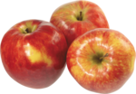 Red Apple PNG Clipart icon png