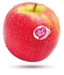Red Apple PNG Free Download icon png