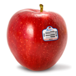 Red Apple PNG HD icon png