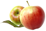 Red Apple PNG Transparent Picture icon png