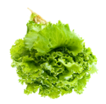 Salad PNG Transparent Image icon png