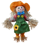 Scarecrow PNG Image icon png